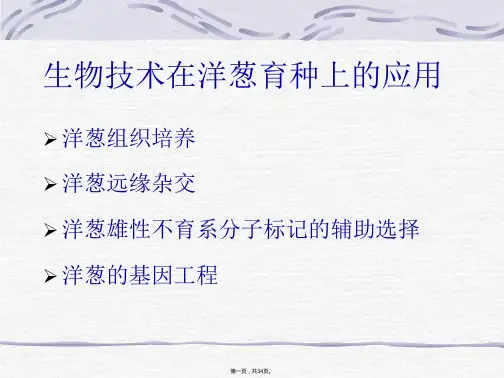 《洋葱生物技术育种》PPT课件
