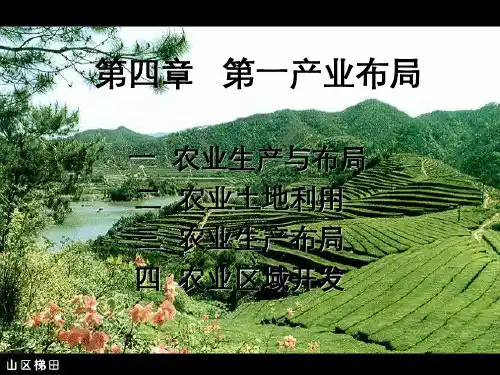 农业生产布局