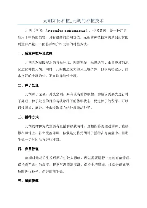 元胡如何种植_元胡的种植技术