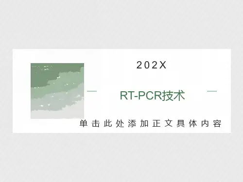 总RNA的提取及RT-PCR