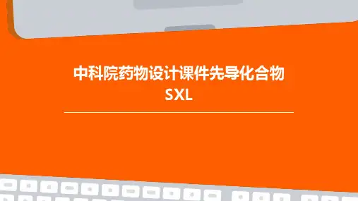 中科院药物设计课件先导化合物sxl