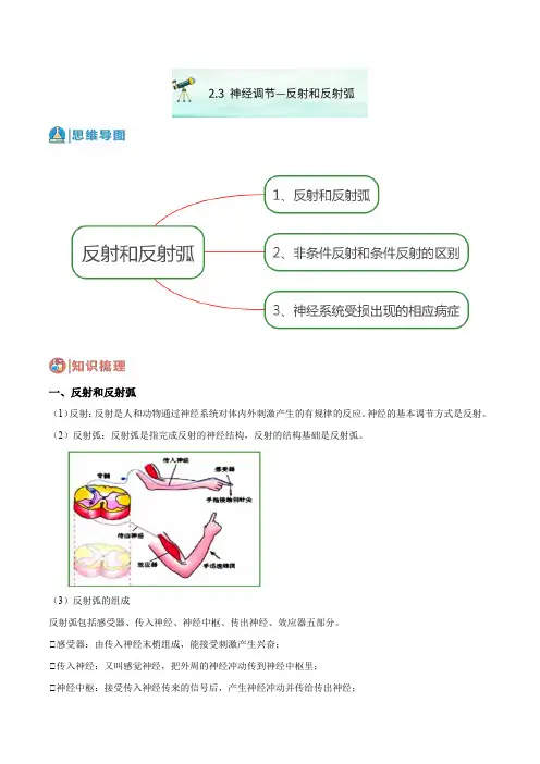 2-3 神经调节——反射和反射弧-2023-2024学年八年级科学下册精讲精练(华师大版)(原卷版