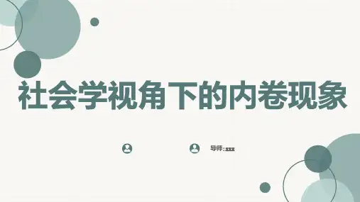 社会学视角下的内卷现象