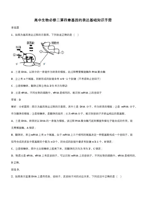 高中生物必修二第四章基因的表达基础知识手册(带答案)