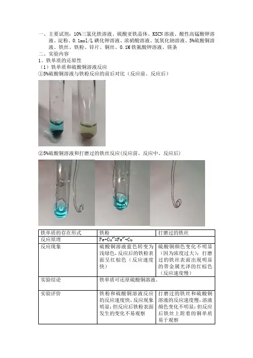 实验报告 “铁及其化合物的性质”方案的设计和实验探究