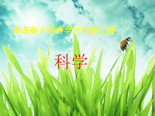 青岛版小学科学六年级上科学全 1 ppt课件