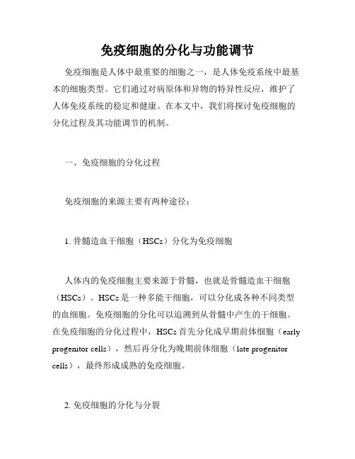 免疫细胞的分化与功能调节