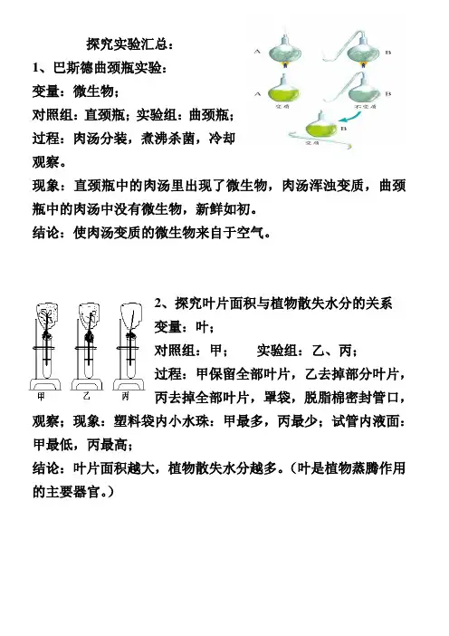 探究实验汇总