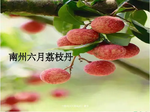 《南州六月荔枝丹》课件