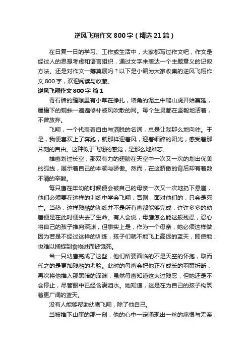 逆风飞翔作文800字（精选21篇）