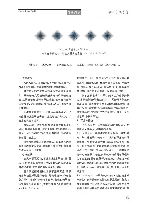 犬瘟热诊治
