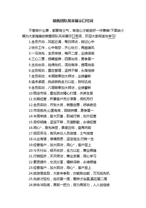 销售团队风采展示口号词