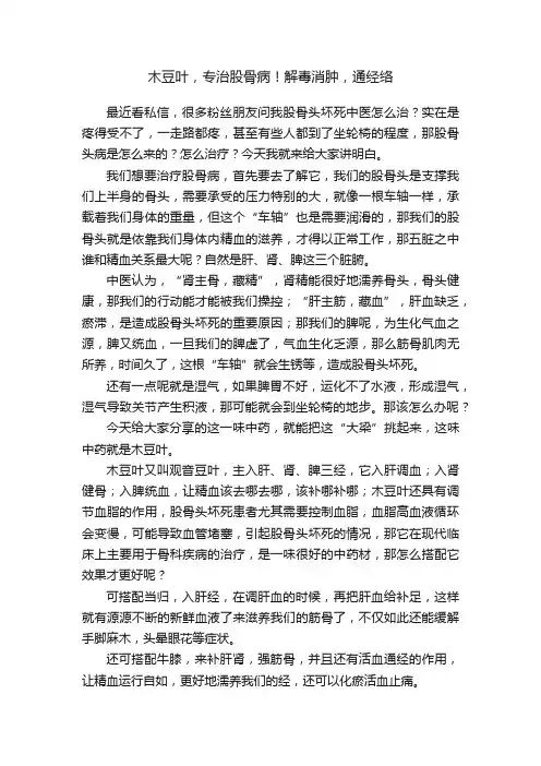 木豆叶，专治股骨病！解毒消肿，通经络