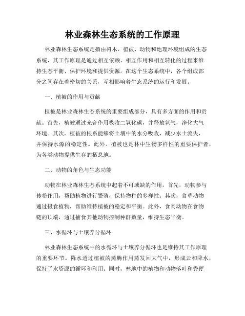 林业森林生态系统的工作原理
