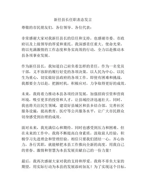 新任县长任职表态发言