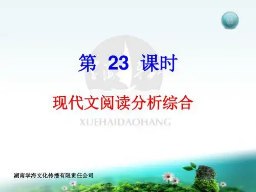高考复习现代文阅读分析综合PPT (共33张PPT)