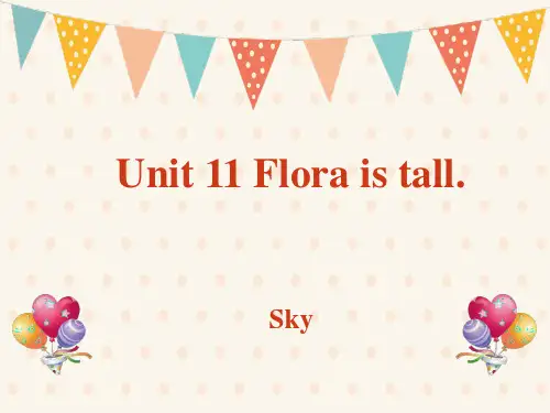 新概念英语Unit11Floraistall.课件