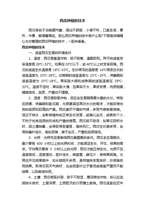 西瓜种植的技术