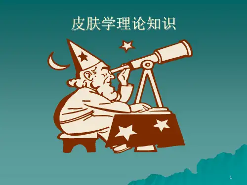 肌肤基础知识详解PPT课件