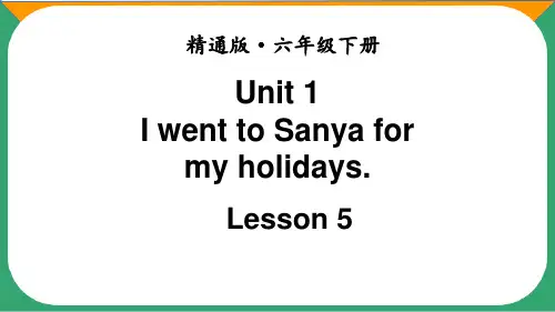 人教精通版六年级英语下册lesson 5精品课件
