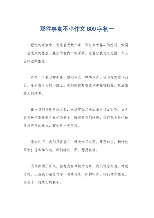 那件事真不小作文800字初一