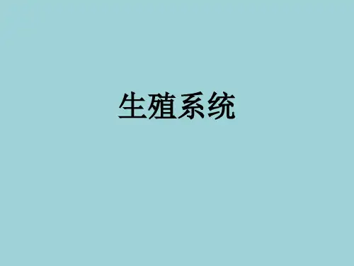 生理学：生殖系统