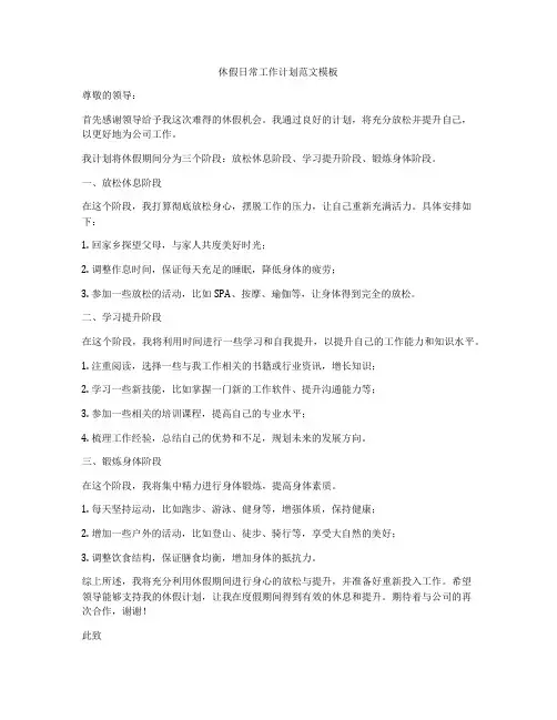 休假日常工作计划范文模板