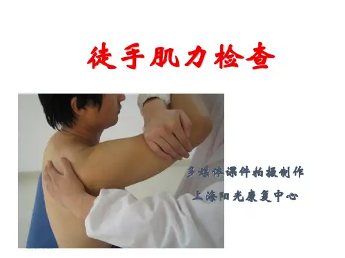 徒手肌力检查培训讲学