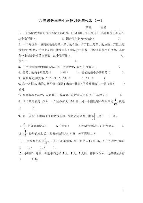 新课标人教版小学数学总复习数与代数练习题