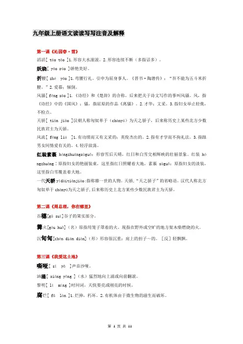 读读写写注音及解释--部编版语文九年级上册