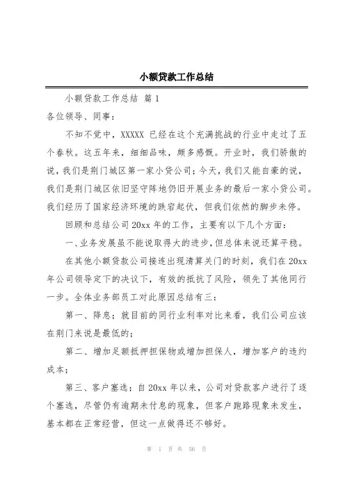小额贷款工作总结