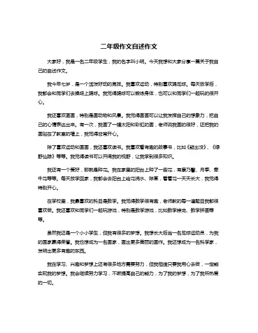 二年级作文自述作文