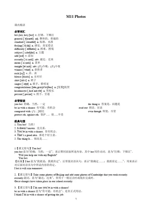 外研英语九年级上册M11重要词句讲解 习题  有答案