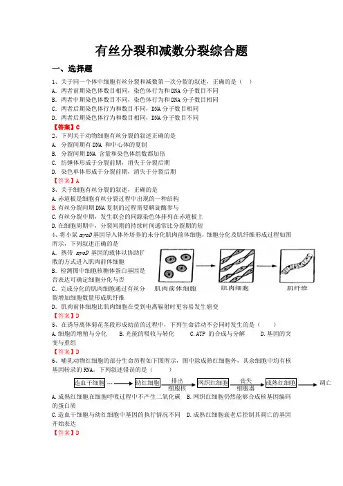有丝分裂和减数分裂综合题