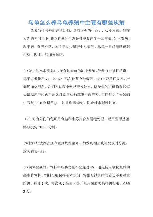 乌龟怎么养乌龟养殖中主要有哪些疾病