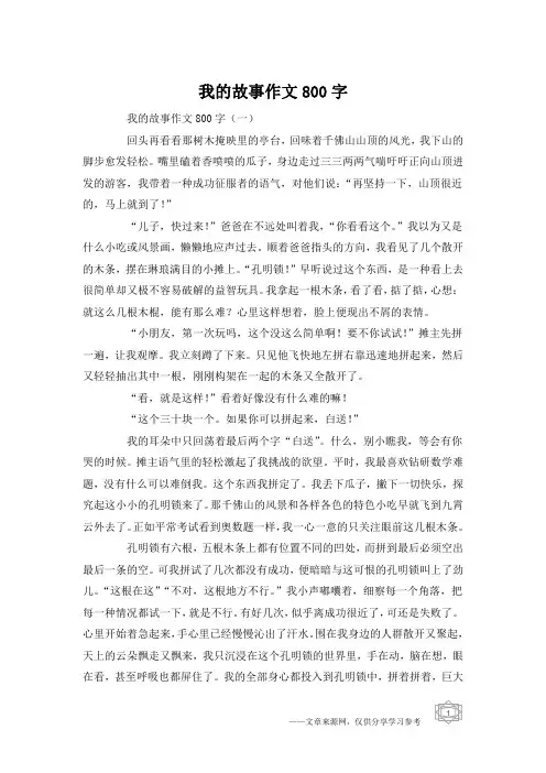 我的故事作文800字