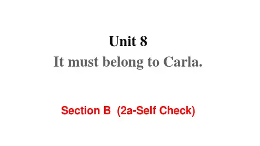 人教版九年级英语全册课件-Unit 8 Section B 第二课时