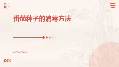 番茄种子的消毒方法