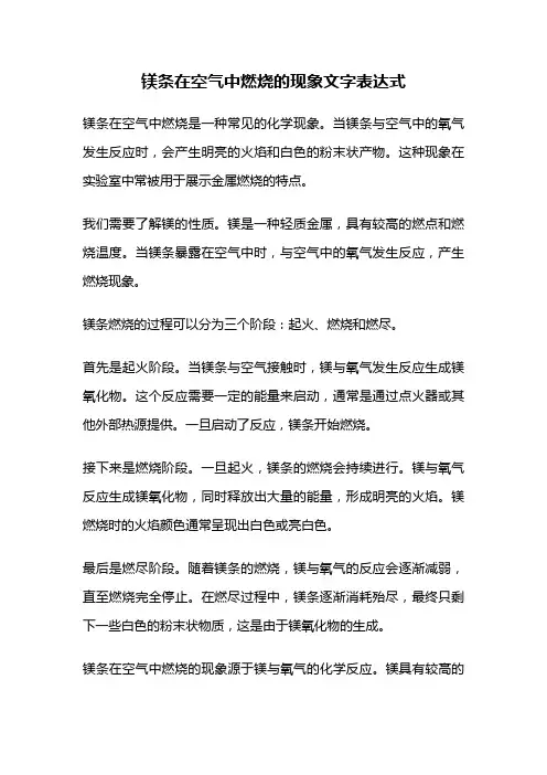 镁条在空气中燃烧的现象文字表达式