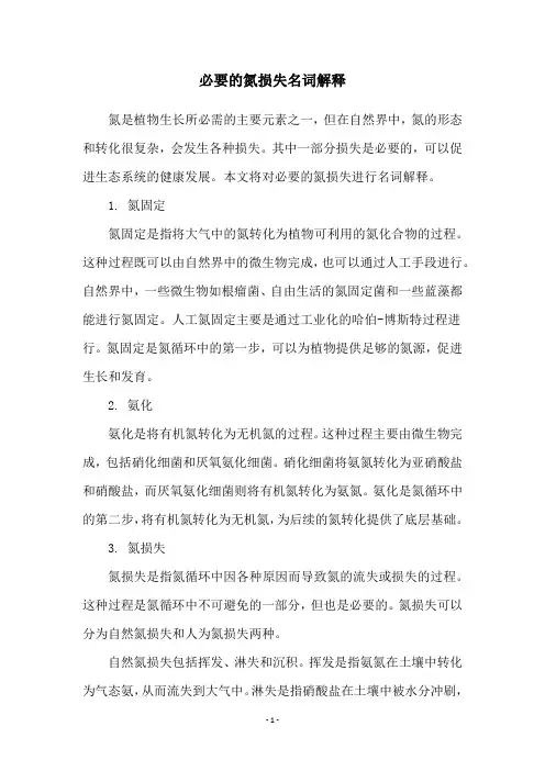 必要的氮损失名词解释