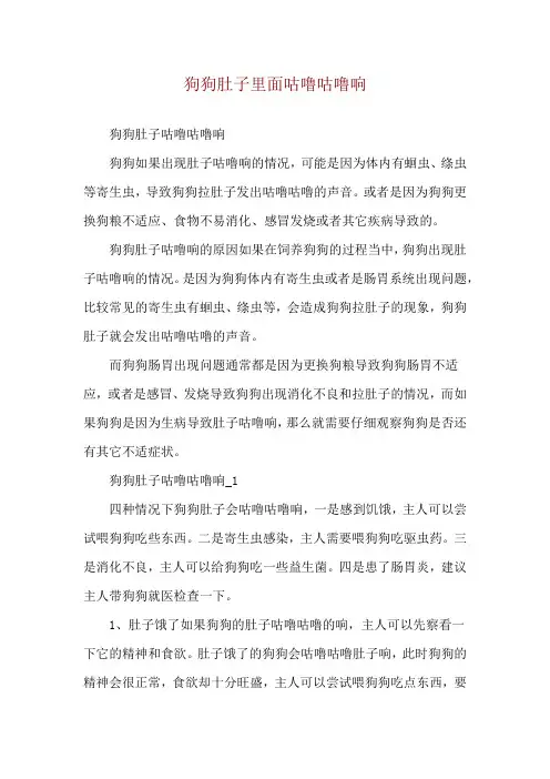 狗狗肚子里面咕噜咕噜响