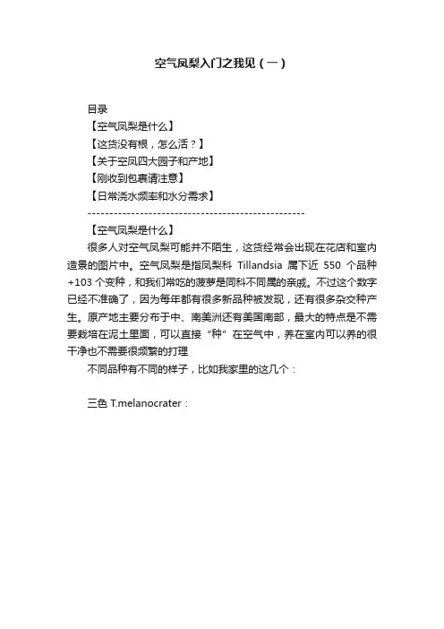 空气凤梨入门之我见（一）