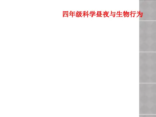 四年级科学昼夜与生物行为