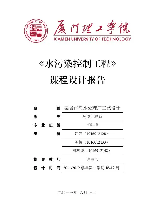 水污染课程设计模板(新)