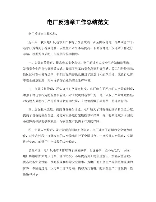 电厂反违章工作总结范文