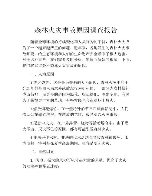 森林火灾事故原因调查报告