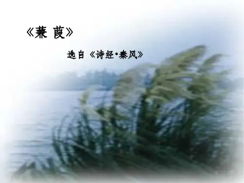 201X年九年级语文上册第1课蒹葭课件3长春版