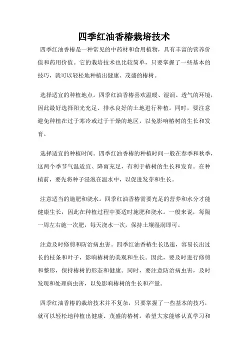 四季红油香椿栽培技术