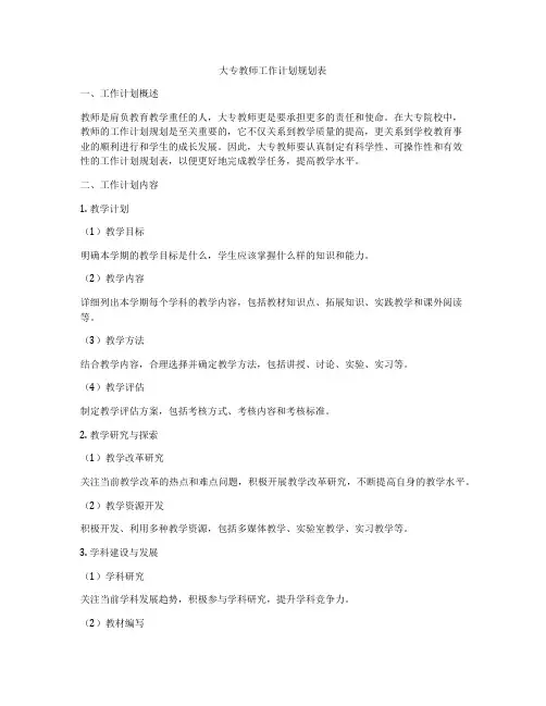 大专教师工作计划规划表