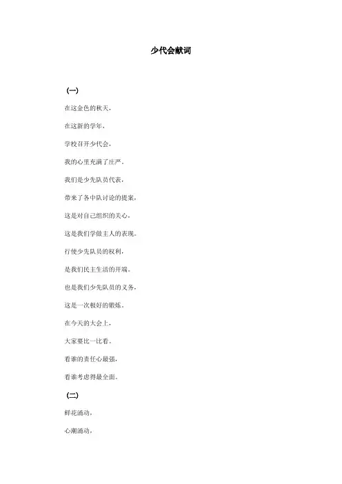 少代会献词